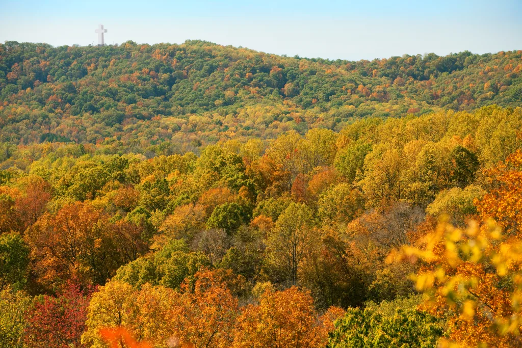 The view from the Alto Pass overlook at Giant City State Park near Makanda, IL
scenic fall color
