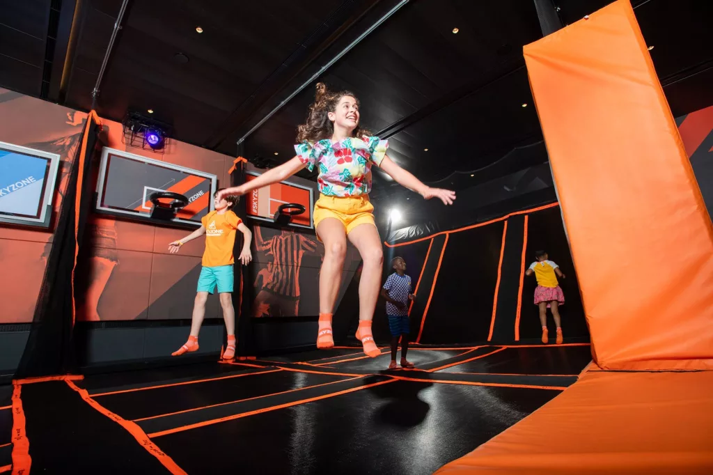 Carnival Panorama Sky Zone