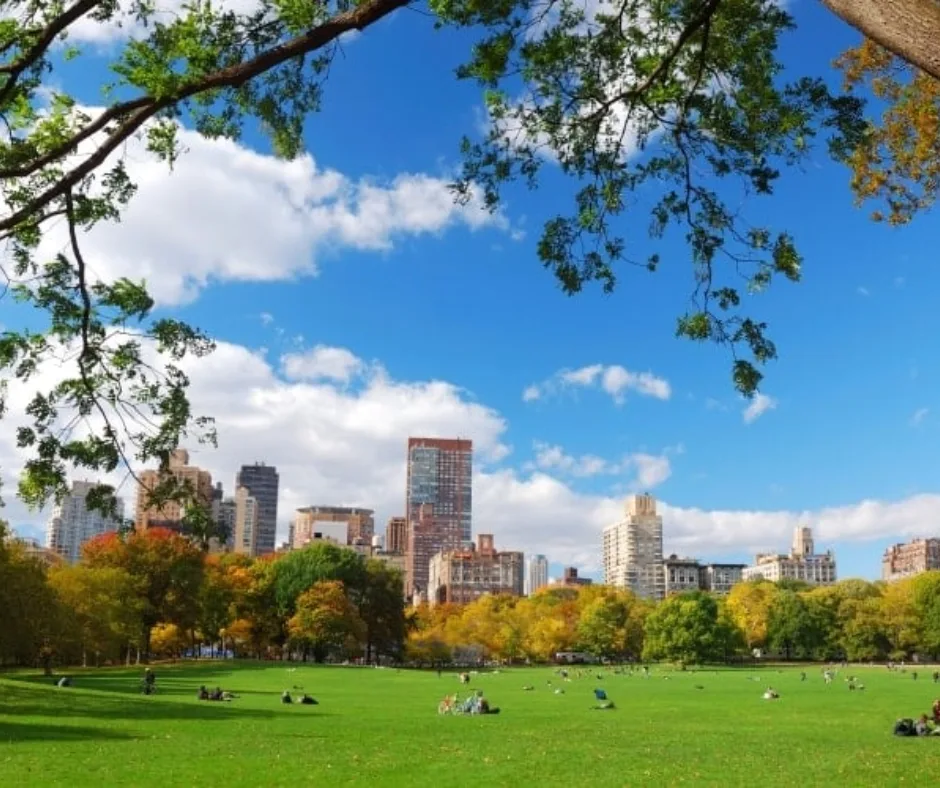 Central Park New York