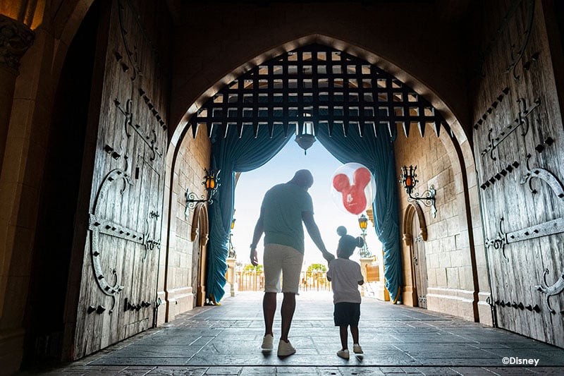 Disney Gallery Images Boy and Dad Castle
