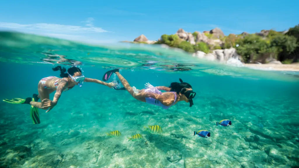 Free at Sea - Scuba Diving