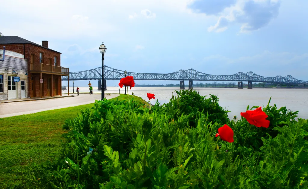 Natchez - Poppies and Bridge