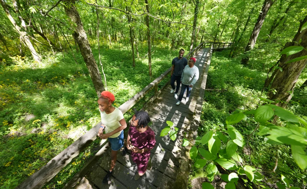 Natchez Trace Pathway