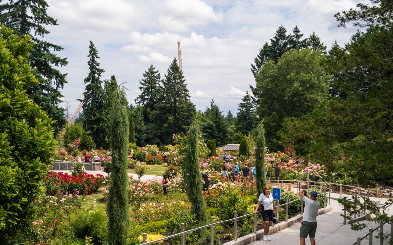 International Rose Garden is located right in Washington Park. The best time to see the roses in full bloom is June.