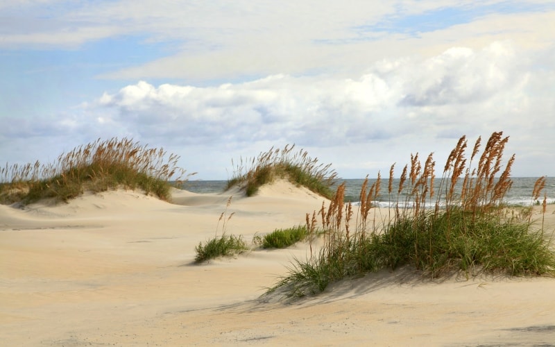 SandBanksOuterBanksNorthCarolina