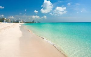 Escape to Warmer Climes