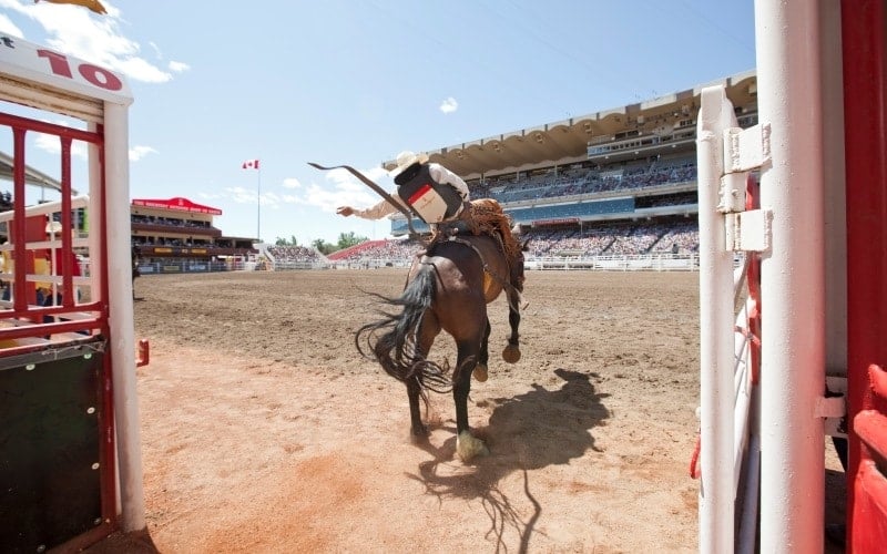 Calgary Stampede