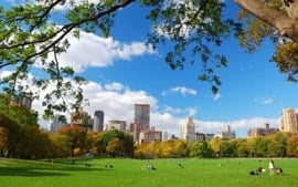 New York State Tours 2020/2021 | TravelPlanners