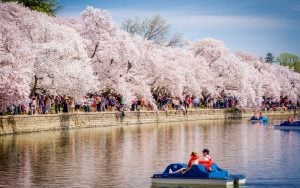 Making the most of Washington