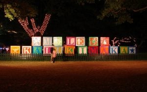 How People Celebrate Christmas in Hawaii