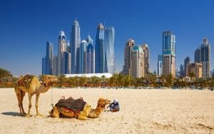 5 Things to do in Dubai in January