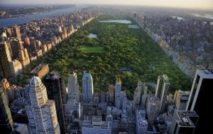 3 of the best things to do in New York