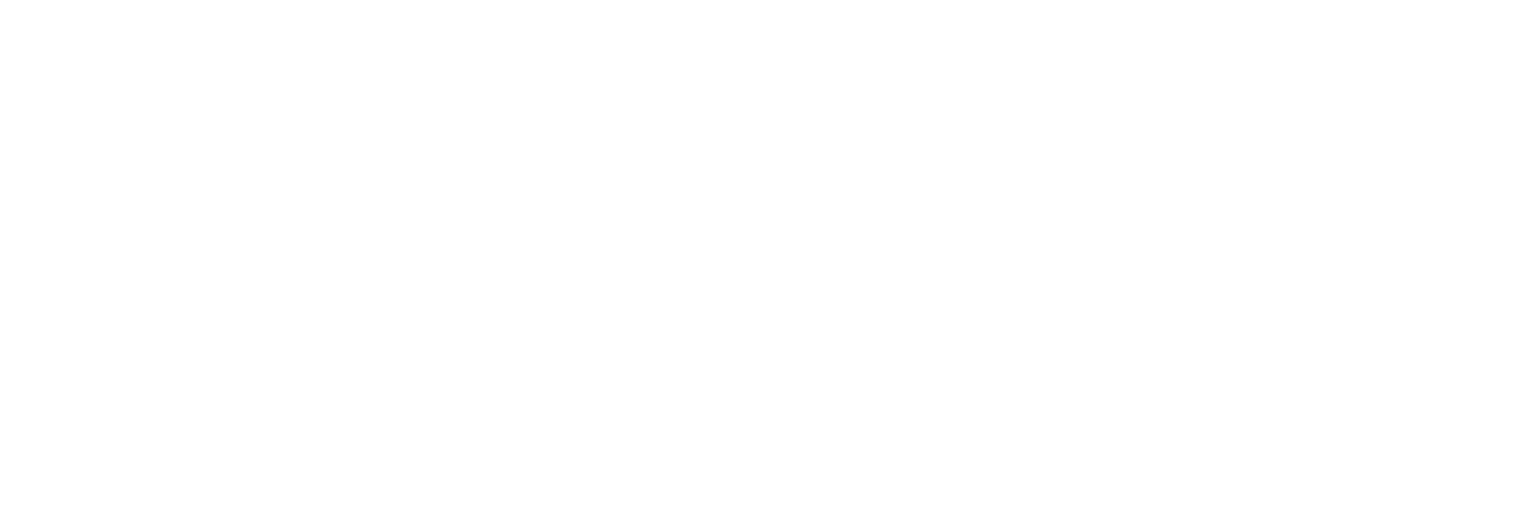 VISIT FLORIDA Logo2019_Primary_White