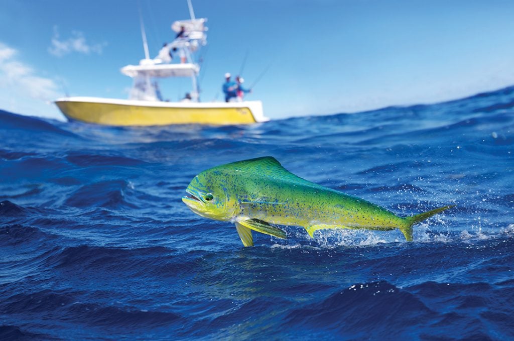 Florida Keys Deep Sea Fishing Boat FK-330