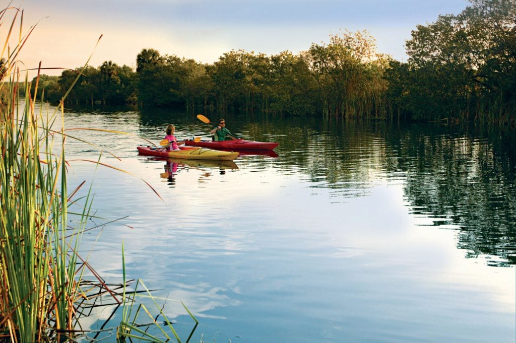 The Gulf Coast Everglades provides endless opportunity for paddlers to explore the mangrove estuaries, creeks and rivers of the Ten Thousand Islands leading out to the Gulf of Mexico.