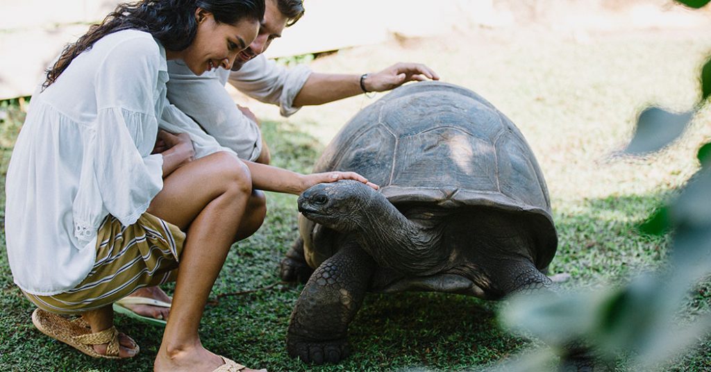 Raffles Seychelles, Praslin Tortoise Park