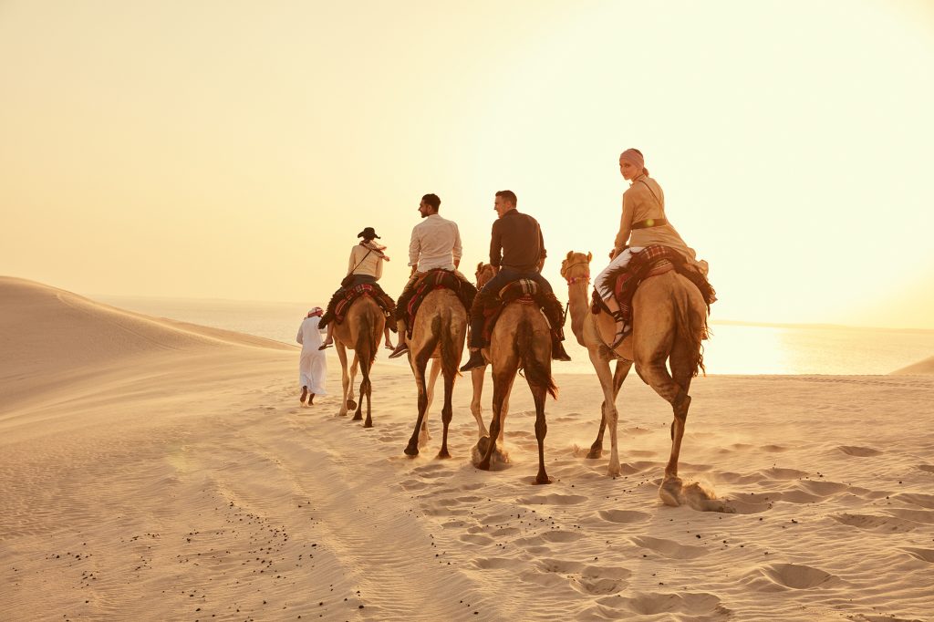 Qatar Camels