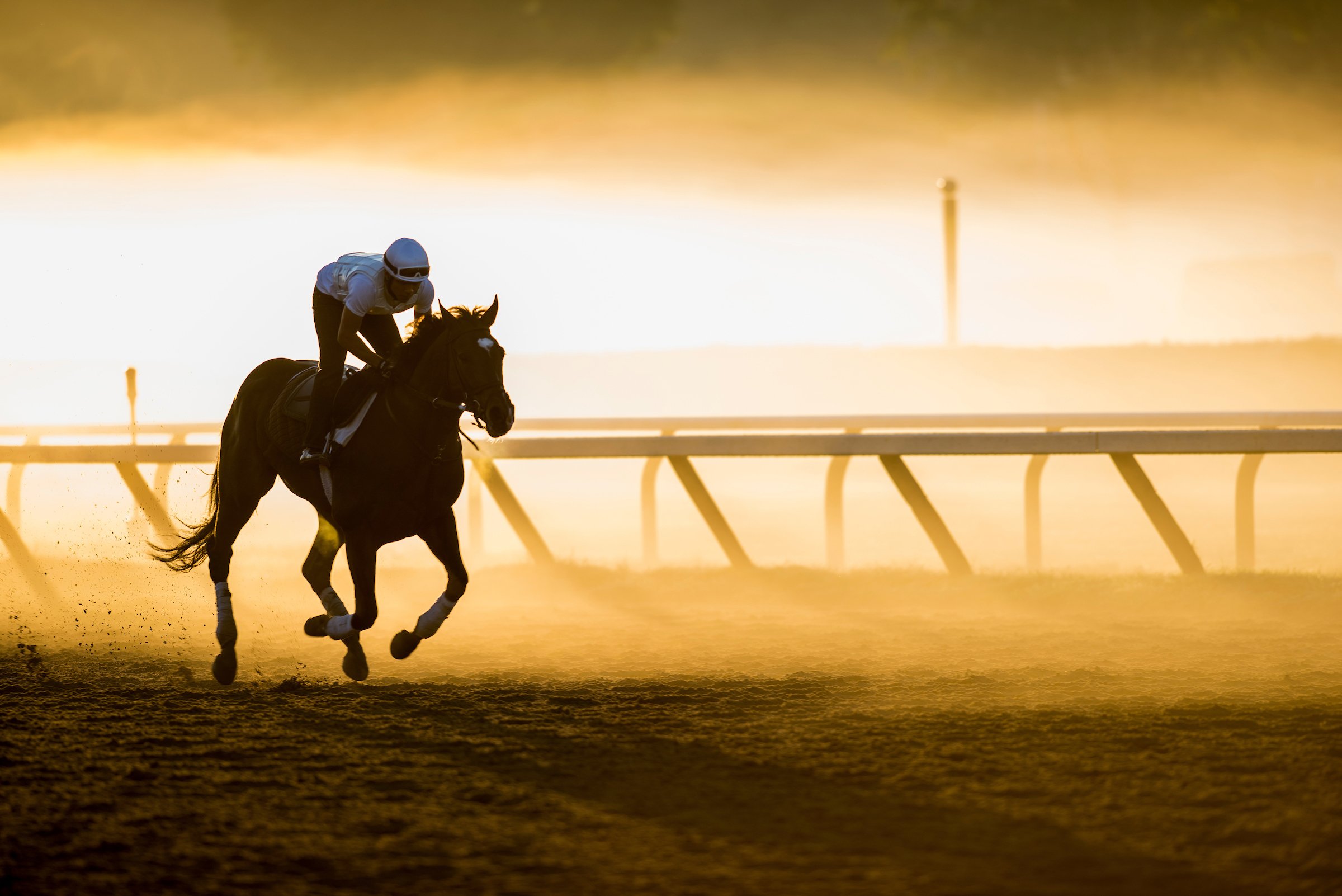 Early Morning workout at Saratoga Race Course, Capital-Saratoga Region , Capital-Saratoga Region