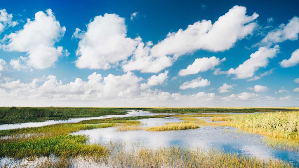 Miami Everglades_National_Park copy