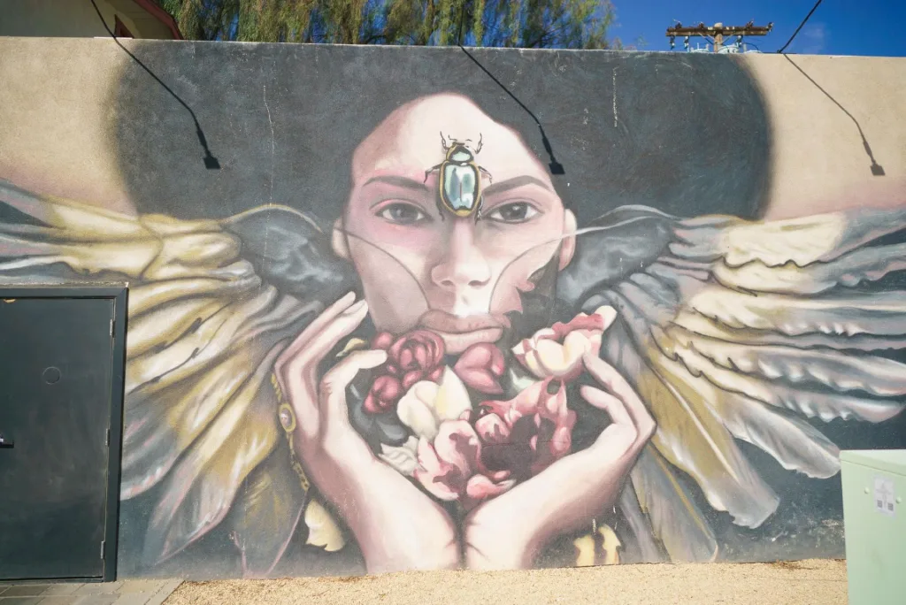 Greater Palm Springs Coachella Walls