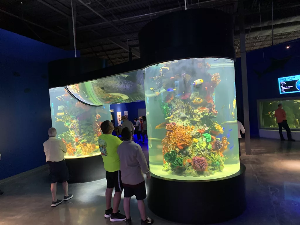 Daytona Aquarium 2024 Vertical Tanks