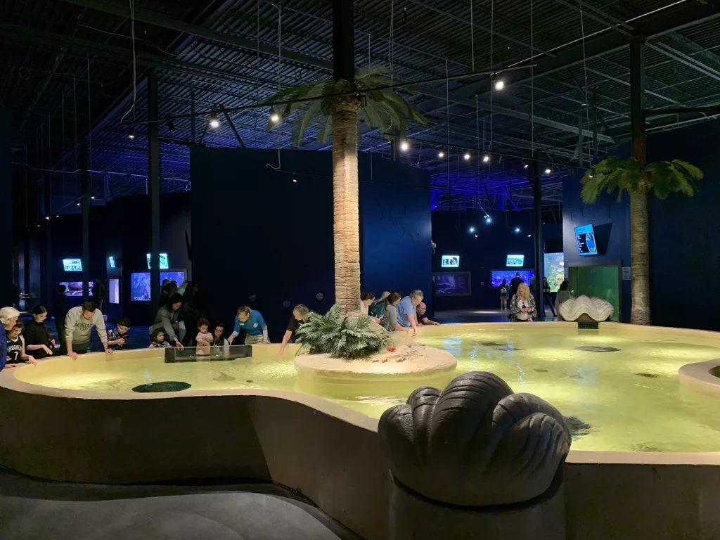 Daytona Aquarium Stingray Touch Pool