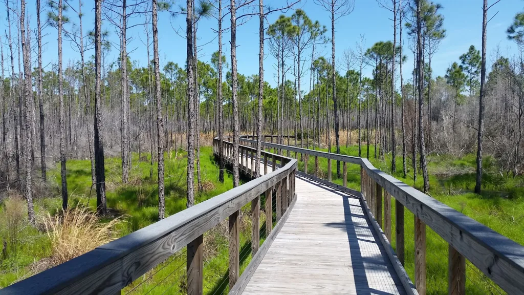Panama City Beach Conservation Park- Boardwalk