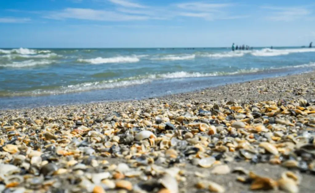Cocoa Beach Florida