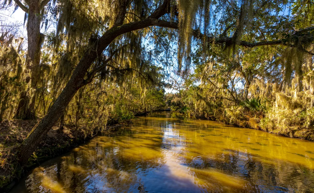 New Orleans, Louisiana - Swamp Tour