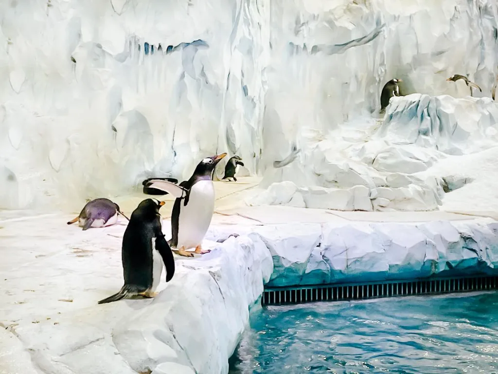 Detroit Zoo (50)