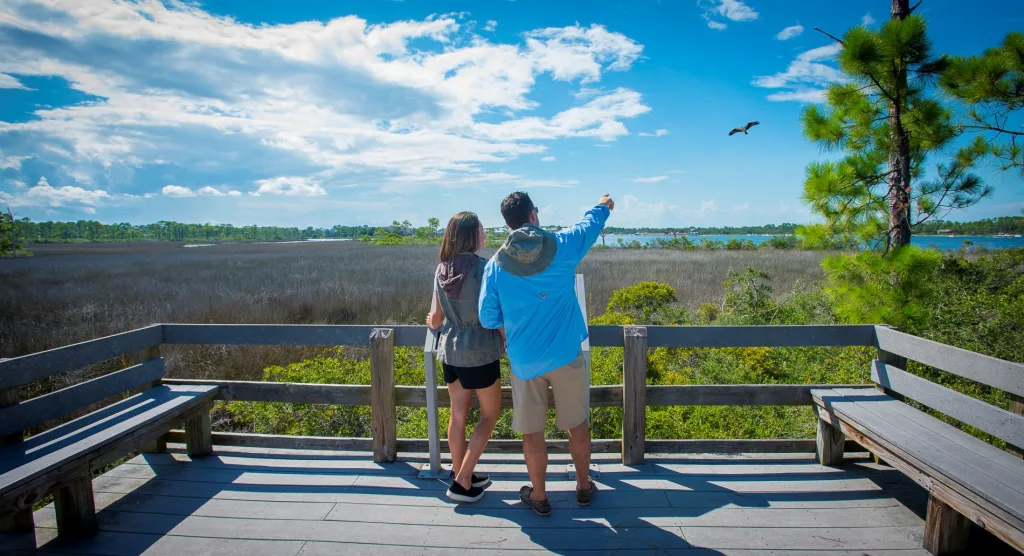 Pensacola Nature