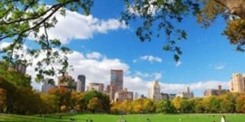 New York State Tours 2020/2021 | TravelPlanners