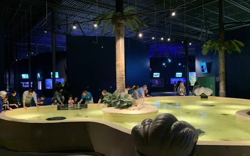 Daytona Aquarium Stingray Touch Pool