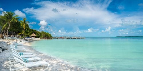 Florida Keys Coconut Beach