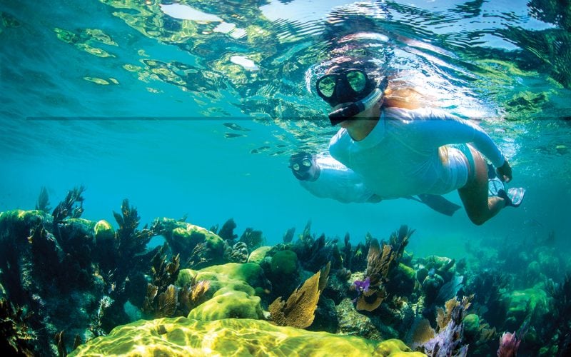 Florida Keys Snorkelling