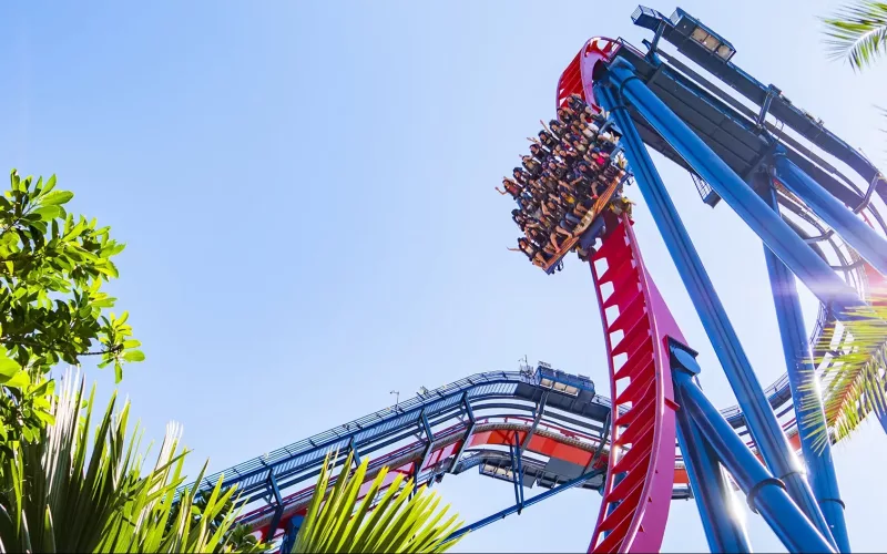 Tampa Bay Busch Gardens Sheikra Drop Coaster