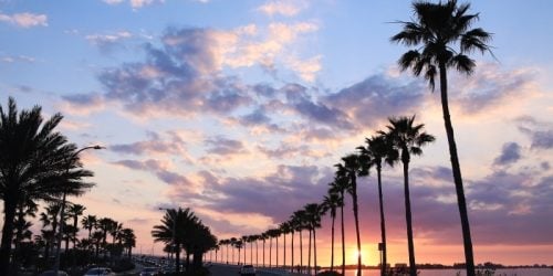 Sarasota Orlando 2020/2021 | TravelPlanners